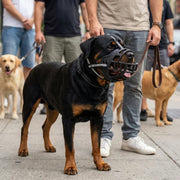 NuzzlyPet Basket Dog Muzzle