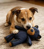NuzzlyPet ToughBear 2 Chew Toy for Heavy Chewers