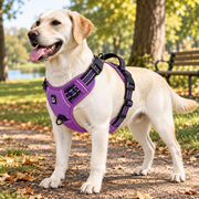 NuzzlyPet No-Pull Dog Harness