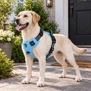 NuzzlyPet No-Pull Dog Harness