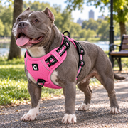 NuzzlyPet No-Pull Dog Harness