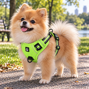 NuzzlyPet No-Pull Dog Harness