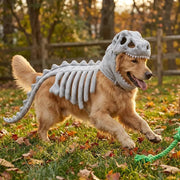 NuzzlyPet Skeleton Costume Dog Outfit