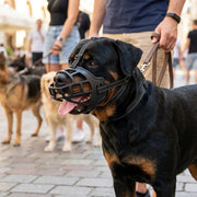 NuzzlyPet Basket Dog Muzzle
