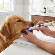 NuzzlyPet Ultrasonic Dog Dental Scaler