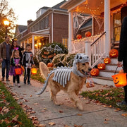 NuzzlyPet Skeleton Costume Dog Outfit