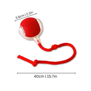 NuzzlyPet Interactive Dog Chase Ball