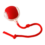 NuzzlyPet Interactive Dog Chase Ball