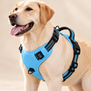 NuzzlyPet No-Pull Dog Harness